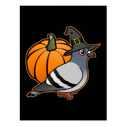 Cute Pigeons Pumpkin Postcard