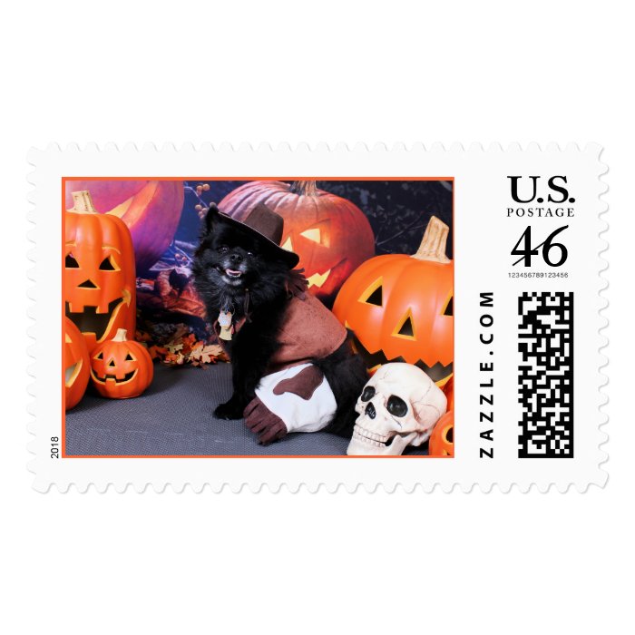 Halloween   Pomeranian   Cody Postage Stamps