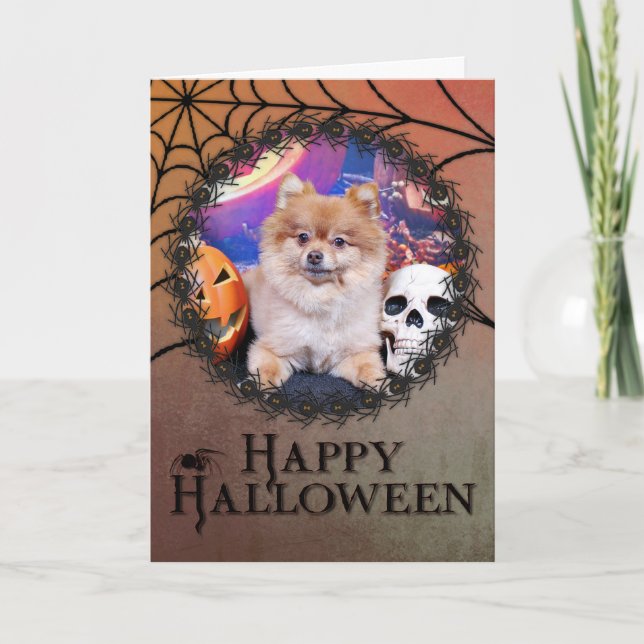 Halloween - Pomeranian - Simba Card (Front)