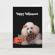 Halloween poodle dog card