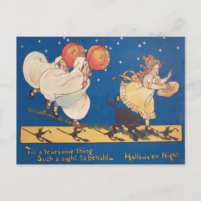 Halloween Prank Ghost Costume Black Cat Postcard (Front)