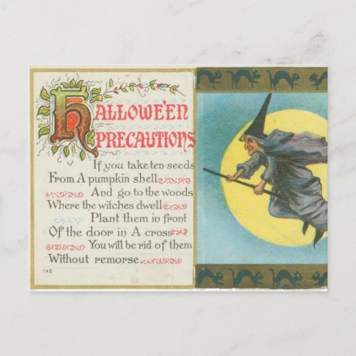 Halloween Precautions Witch Vintage Postcard