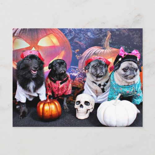 Halloween _ Pug _ Bruno Pearl Bear Ms Wiggens Postcard