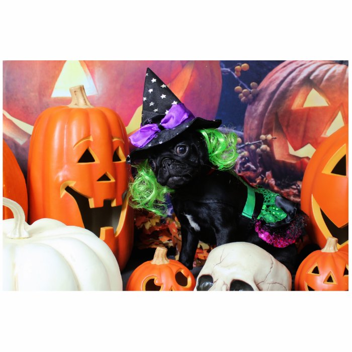 Halloween   Pug   Daisy Mae Photo Cut Outs