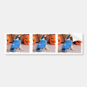 Halloween - Pug - QuaziMoto - Stephanie Bumper Sticker