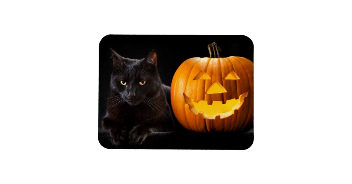 Creepy Cat Magnet