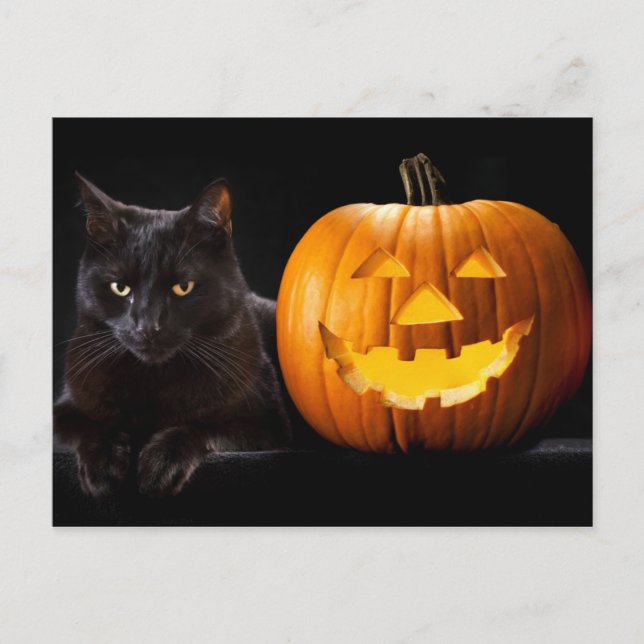 Halloween pumpkin and black cat postcard (Front)