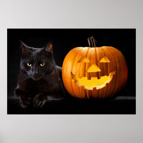 Halloween pumpkin and black cat poster