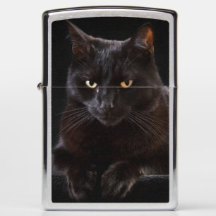 Halloween pumpkin and black cat zippo lighter