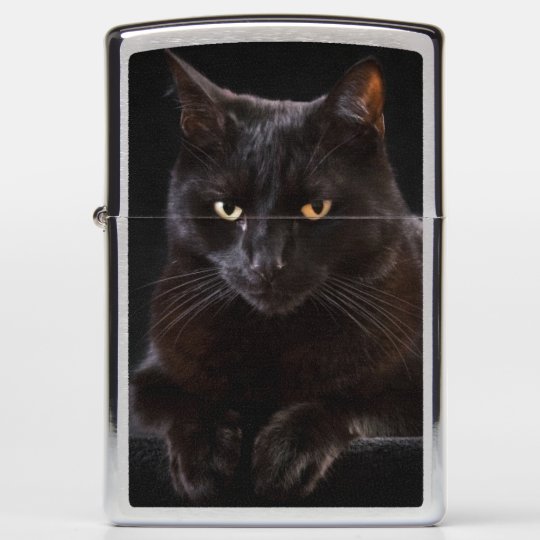 Halloween pumpkin and black cat zippo lighter