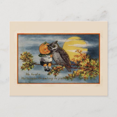 Halloween Pumpkin Boy Owl Tree Branch Moon Vintage Postcard