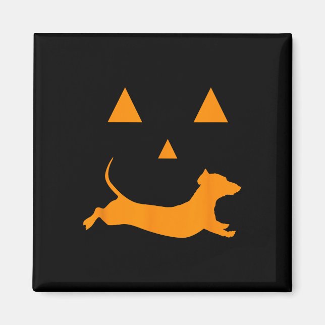 Halloween Pumpkin Dachshund Jack-o-lantern  Costum Magnet (Front)
