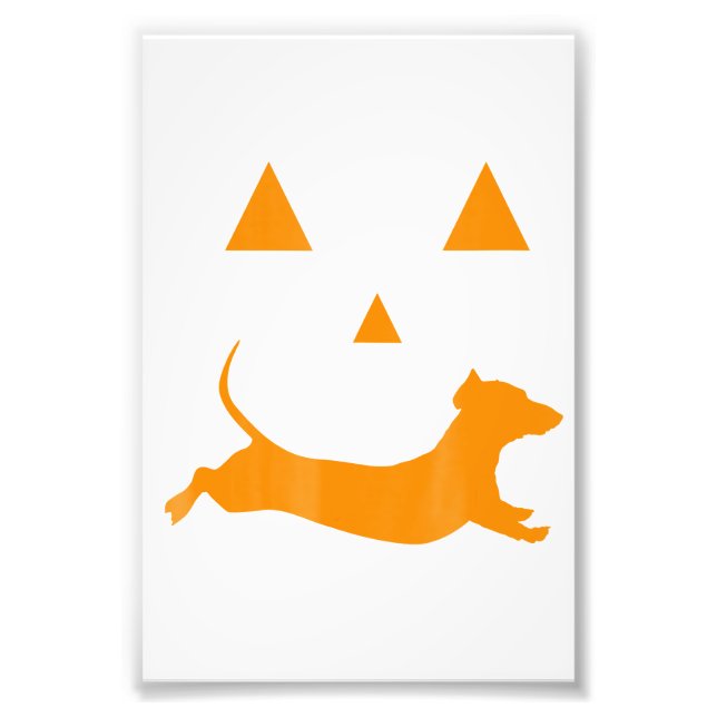 Halloween Pumpkin Dachshund Jack-O-Lantern  Costum Photo Print (Front)