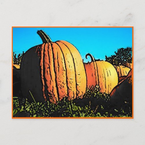 Halloween Pumpkin Patch in Daytime Postcard