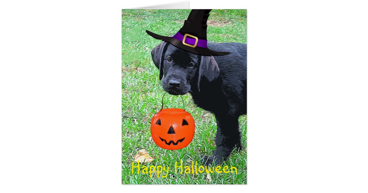 Halloween Pumpkin Puppy Black Lab Zazzle