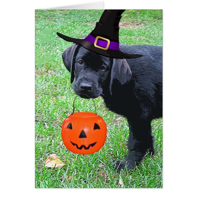Halloween Pumpkin Puppy  - Black Lab Cards (Front)