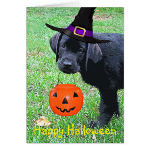 Halloween Pumpkin Puppy  - Black Lab Cards