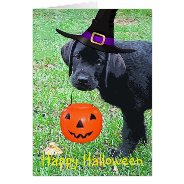 Halloween Pumpkin Puppy  - Black Lab Cards (Front)