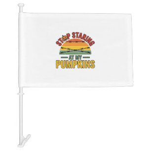 Halloween Pumpkin Stop Staring Funny Vintage_1 Car Flag