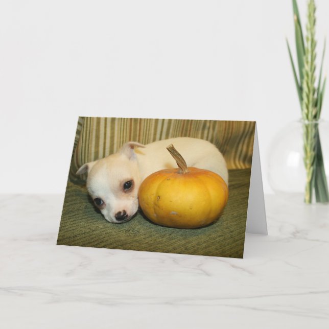 Halloween Puppy Greeting Card (Front)