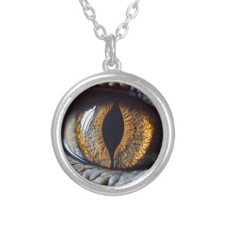 👁️Halloween Reptile Eye Fantasy Earrings Silver Plated Necklace