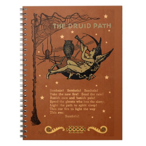 Halloween Samhain Fairy Owl Spider Web Notebook