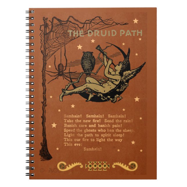 Halloween Samhain Fairy Owl Spider Web Notebook (Front)
