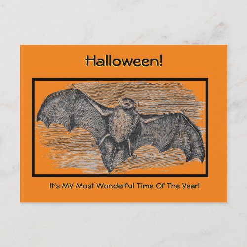 HALLOWEEN SCARY BATMY FAVORITE TIME OF YEAR POST POSTCARD