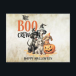 Halloween Scary Boo Dogs Crew Orange Pumpkin Postcard<br><div class="desc">Halloween Scary Boo Dogs Crew Orange Pumpkin Postcard. Unique,  beautiful,  stylish design. Easy to be personalized. Font style,  size and colors can be changed. Matching items are available.</div>
