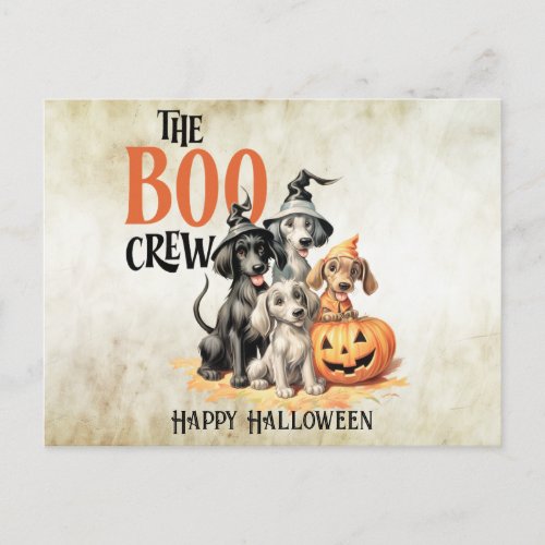 Halloween Scary Boo Dogs Crew Orange Pumpkin Postcard