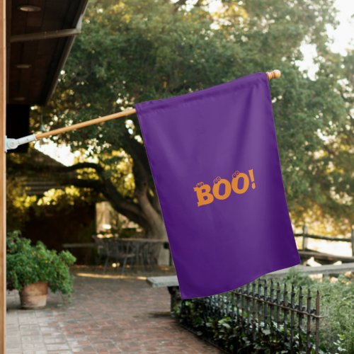 Halloween Scary Boo eyeballs funny decoration House Flag