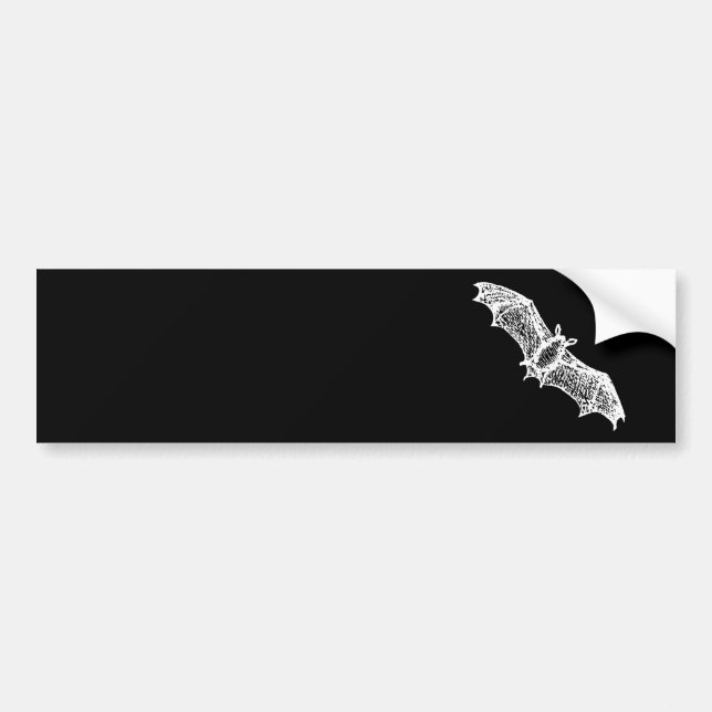 Halloween scary sketch contour White bat Bumper Sticker (Front)