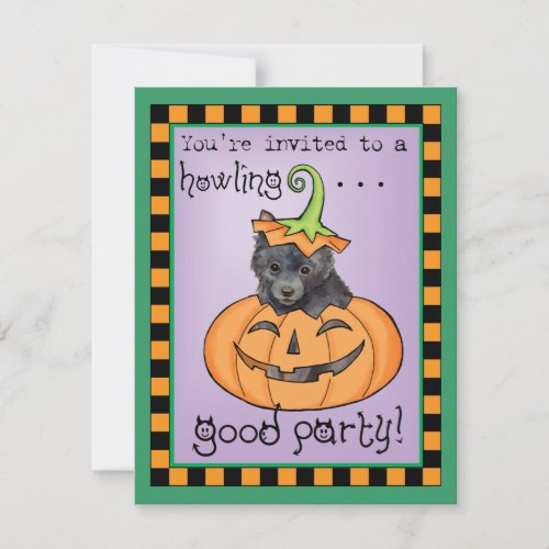 Halloween Schipperke Card