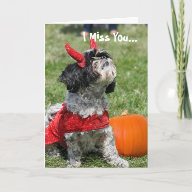 Halloween Shih Tzu dog Card (Front)