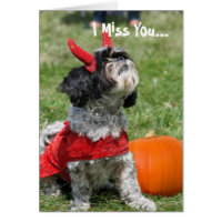 Halloween Shih Tzu dog Card
