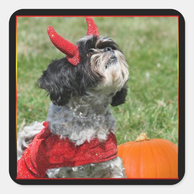 Halloween Shih Tzu Square Sticker (Front)