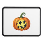 Halloween Shirt Pumpkin Turtle Sea Halloween Costu Hitch Cover