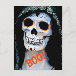 Halloween Skeleton Postcard