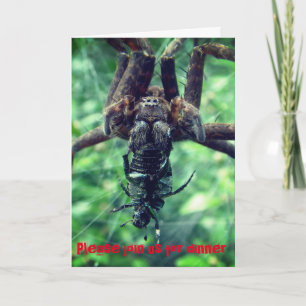 Halloween Spider Dinner Invitation