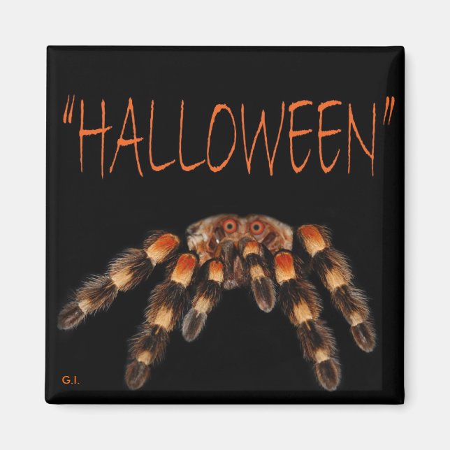 Halloween Spider Magnet (Front)