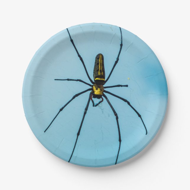 Halloween Spider Paper Plates (Front)