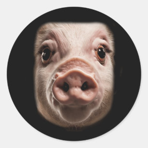 Halloween Surprised Pig Face Meme Big Troll Hog Pi Classic Round Sticker
