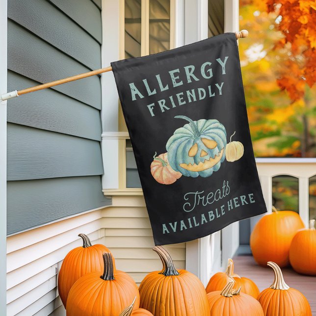 Halloween Teal Pumpkin Allergy Friendly Treats House Flag (Creator Uploaded)