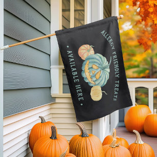 Halloween Teal Pumpkin Allergy Friendly Treats House Flag