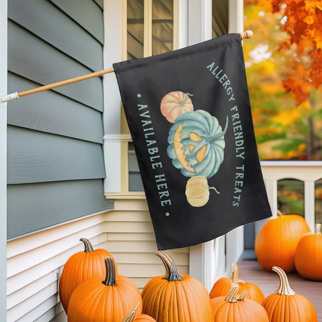 Halloween Teal Pumpkin Allergy Friendly Treats House Flag (Creator Uploaded)