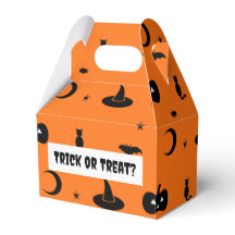 Halloween Trick or Treat Bag
