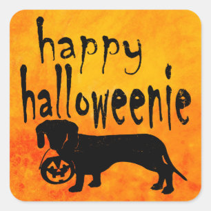 Halloween Trick or Treat Dachshund Square Sticker
