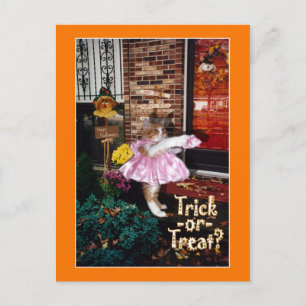 Halloween Trick-or-Treat Kitty Postcard