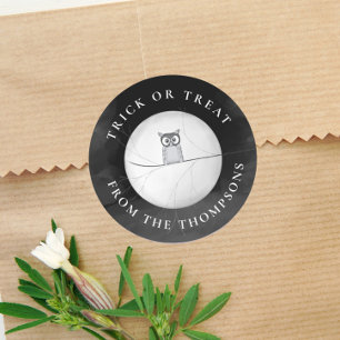 Halloween Trick Or Treat Spooky Scary Owl Classic Round Sticker