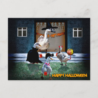 Halloween Trick or Treats Time! Postcard